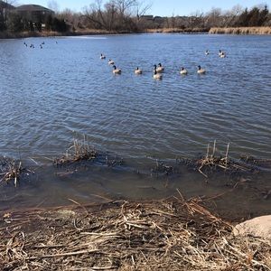 Meet your Posher, Norma